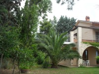 /album/oliveto/a2012-12-29-09-56-34-jpg/